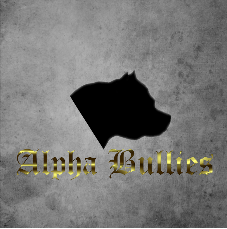 Alpha Bullies Logo